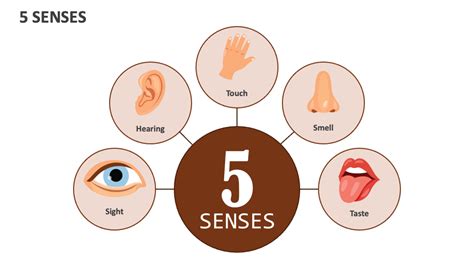 Ignite your five senses, visit experiencebinan.com now! Taste .